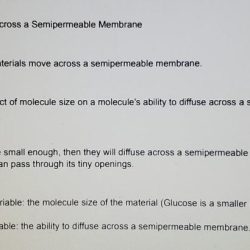 Diffusion membrane lab through nys restructured required ask why