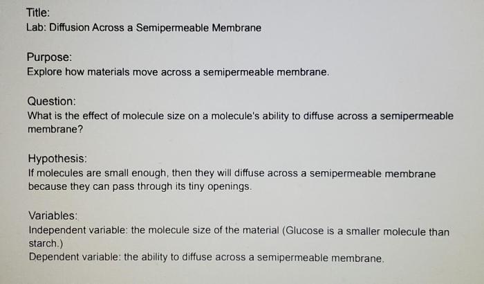 Diffusion membrane lab through nys restructured required ask why