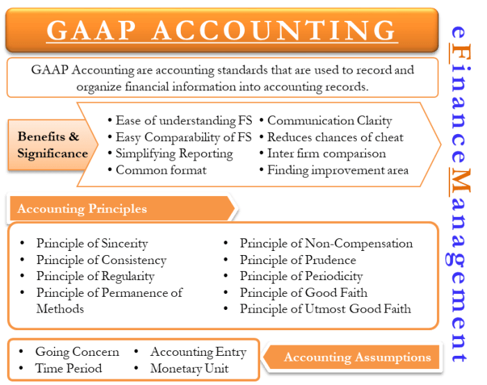 Gaap accounting principles accepted generally external internal users lesson study importance uses advanced ii screen technology