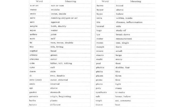 The language of science worksheet answer key