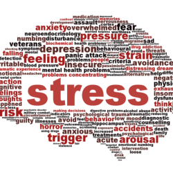 When acute stress bombards your brain with stress chemicals